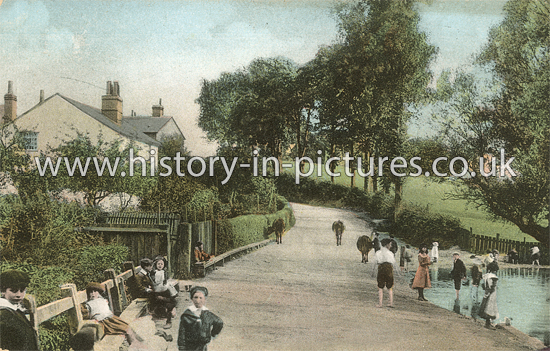 Notley Road, Braintree, Essex. c.1905
